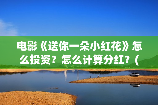 电影《送你一朵小红花》怎么投资？怎么计算分红？(电影送你一朵小红花剧情介绍)