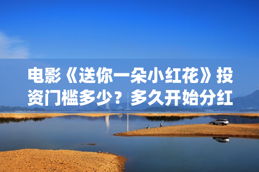 电影《送你一朵小红花》投资门槛多少？多久开始分红？(电影《送你一朵花》完整版)