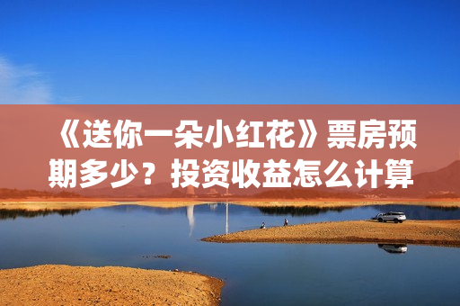 《送你一朵小红花》票房预期多少？投资收益怎么计算？(送你一朵小红花电影免费观看)