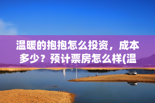 温暖的抱抱怎么投资，成本多少？预计票房怎么样(温暖的抱抱怎么画)