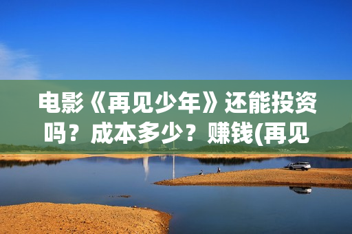 电影《再见少年》还能投资吗？成本多少？赚钱(再见少年是什么电影)