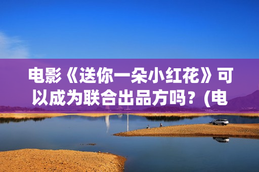 电影《送你一朵小红花》可以成为联合出品方吗？(电影送你一朵小红花讲述的主题是抗癌吗)