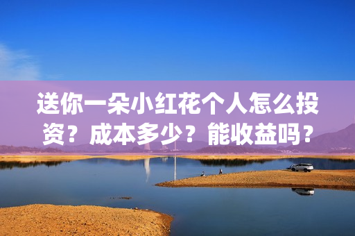 送你一朵小红花个人怎么投资？成本多少？能收益吗？(送你一朵小红花演员表)