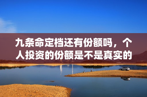 九条命定档还有份额吗，个人投资的份额是不是真实的(九条命 上映)