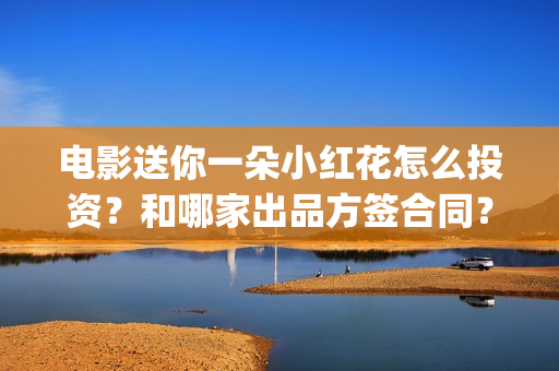 电影送你一朵小红花怎么投资？和哪家出品方签合同？(电影送你一朵小红花观后感)