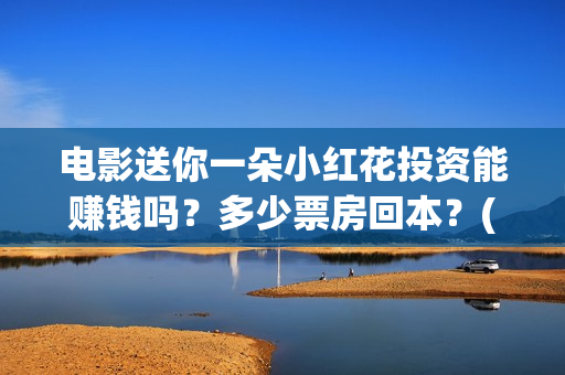 电影送你一朵小红花投资能赚钱吗？多少票房回本？(电影送你一朵小红花的英文)