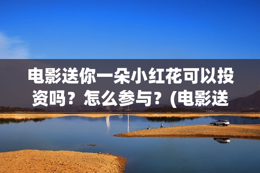电影送你一朵小红花可以投资吗？怎么参与？(电影送你一朵小红花简介)