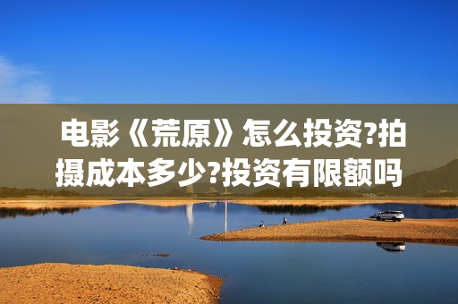  电影《荒原》怎么投资?拍摄成本多少?投资有限额吗?(电影荒原最后他哥活着吗)