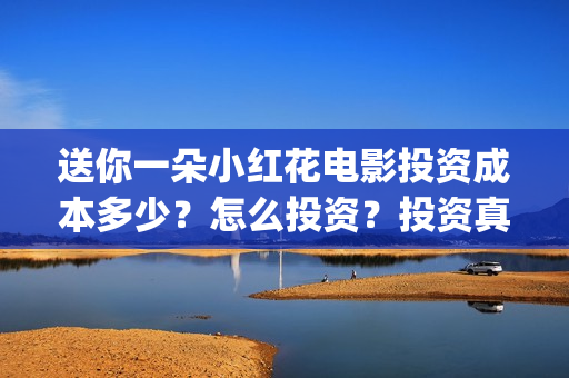 送你一朵小红花电影投资成本多少？怎么投资？投资真实吗？(送你一朵小红花电影剧情介绍)