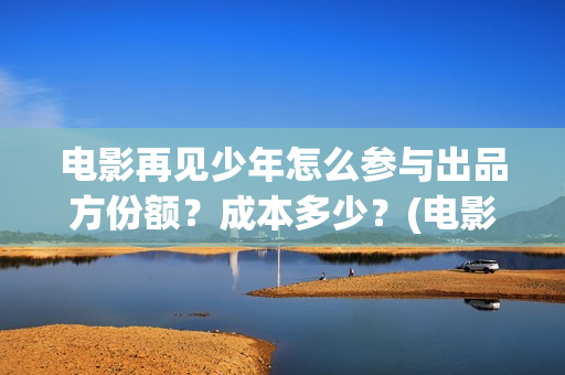 电影再见少年怎么参与出品方份额？成本多少？(电影《再见少年》)