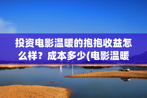 投资电影温暖的抱抱收益怎么样？成本多少(电影温暖的作文)