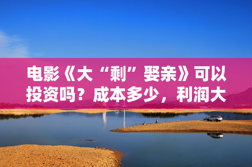 电影《大“剩”娶亲》可以投资吗？成本多少，利润大吗
