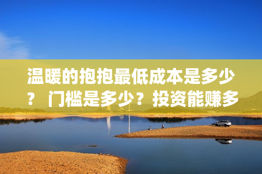 温暖的抱抱最低成本是多少？ 门槛是多少？投资能赚多少钱？(温暖的抱抱破5亿)