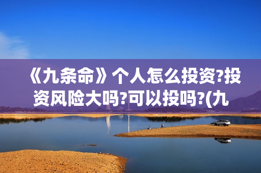 《九条命》个人怎么投资?投资风险大吗?可以投吗?(九条命简介)