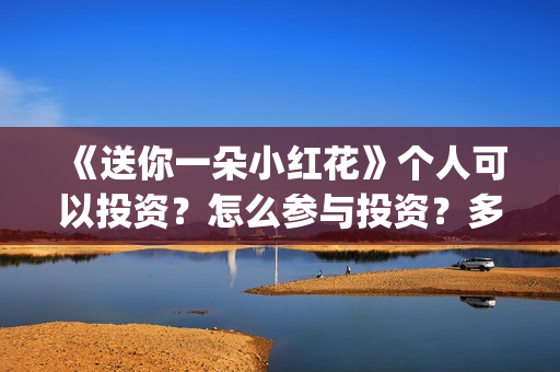 《送你一朵小红花》个人可以投资？怎么参与投资？多少起投？(送你一朵小红花原唱)
