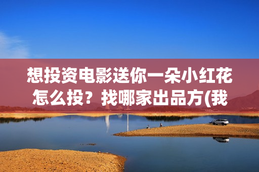 想投资电影送你一朵小红花怎么投？找哪家出品方(我想投资电影)
