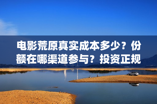 电影荒原真实成本多少？份额在哪渠道参与？投资正规吗？(荒原电影是哪个公司出品的)