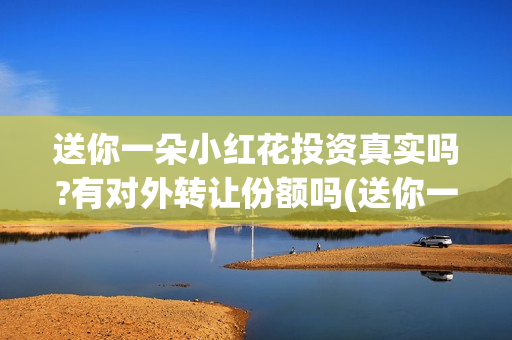 送你一朵小红花投资真实吗?有对外转让份额吗(送你一朵小红花歌词表达什么意思)