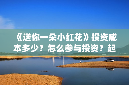 《送你一朵小红花》投资成本多少？怎么参与投资？起投多少？(送你一朵小红花电影)