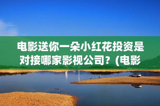 电影送你一朵小红花投资是对接哪家影视公司？(电影送你一朵小花)