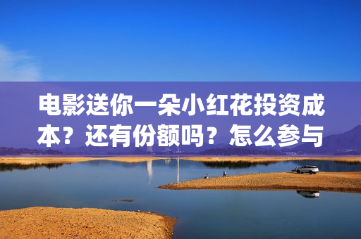 电影送你一朵小红花投资成本？还有份额吗？怎么参与？(电影送你一朵小红花的英文)
