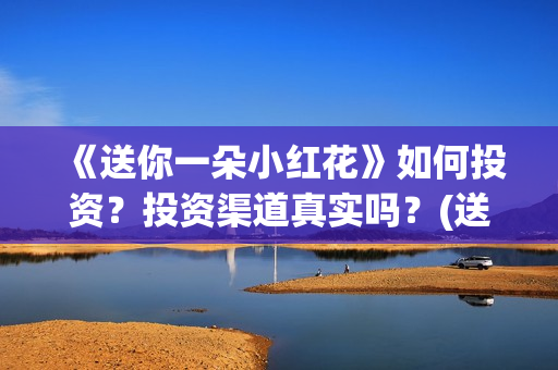 《送你一朵小红花》如何投资？投资渠道真实吗？(送你一朵小红花免费观看完整版)