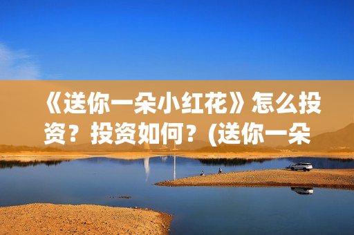 《送你一朵小红花》怎么投资？投资如何？(送你一朵小红花mp3下载)