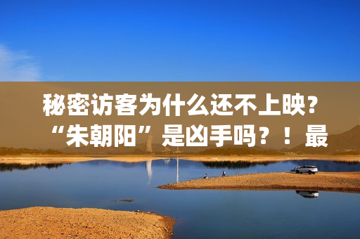 秘密访客为什么还不上映？“朱朝阳”是凶手吗？！最后的结局是怎样的？(秘密访客为什么要囚禁于困樵)