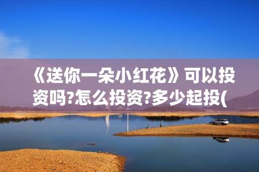 《送你一朵小红花》可以投资吗?怎么投资?多少起投(送你一朵小红花电影免费观看)