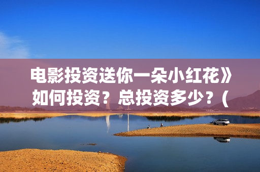 电影投资送你一朵小红花》如何投资？总投资多少？(电影投资独家揭秘)