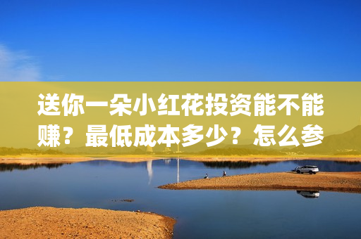 送你一朵小红花投资能不能赚？最低成本多少？怎么参与？(送你一朵小红花歌词)