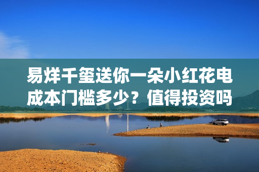 易烊千玺送你一朵小红花电成本门槛多少？值得投资吗？(易烊千玺送你一朵花免费观看)