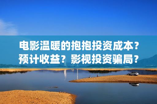 电影温暖的抱抱投资成本？预计收益？影视投资骗局？(电影温暖的抱抱免费观看完整版)