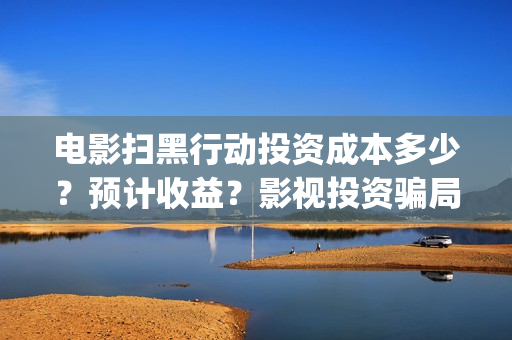 电影扫黑行动投资成本多少？预计收益？影视投资骗局？(扫黑行动电影简介)