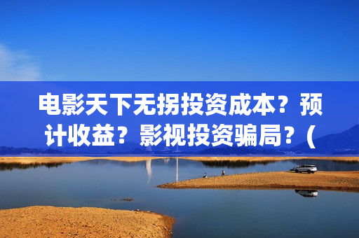 电影天下无拐投资成本？预计收益？影视投资骗局？(天下无拐电影怎么样)
