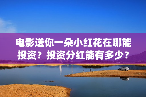 电影送你一朵小红花在哪能投资？投资分红能有多少？(电影送你一朵小红花演员表)