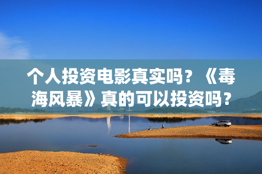 个人投资电影真实吗？《毒海风暴》真的可以投资吗？(个人投资电影合法吗)