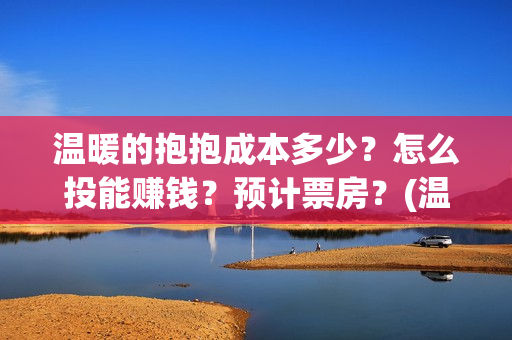 温暖的抱抱成本多少？怎么投能赚钱？预计票房？(温暖的抱抱成本3亿)