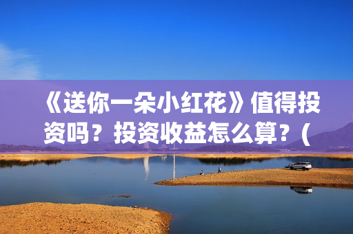 《送你一朵小红花》值得投资吗？投资收益怎么算？(送你一朵小红花mp3下载)