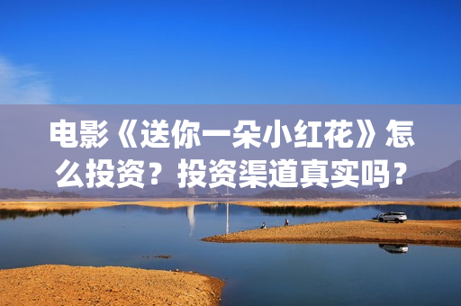 电影《送你一朵小红花》怎么投资？投资渠道真实吗？(电影送你一朵小红花讲述的主题是抗癌吗)