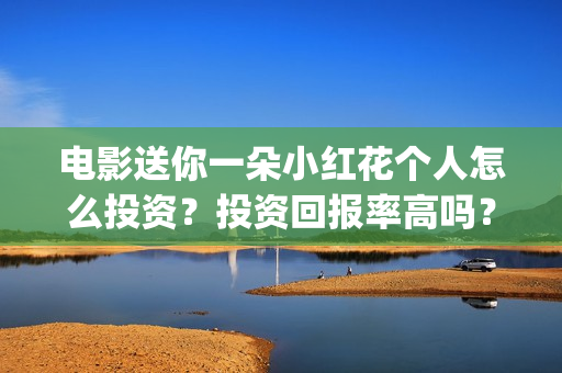 电影送你一朵小红花个人怎么投资？投资回报率高吗？(电影送你一朵小红花讲述的主题是抗癌吗)