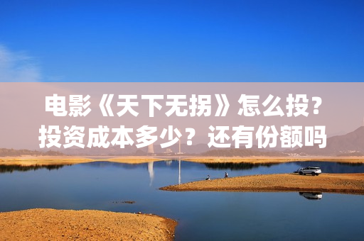 电影《天下无拐》怎么投？投资成本多少？还有份额吗？(天下无拐电影2020)