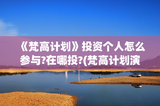 《梵高计划》投资个人怎么参与?在哪投?(梵高计划演员表)