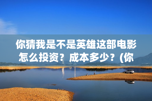 你猜我是不是英雄这部电影怎么投资？成本多少？(你猜我是不是英雄)