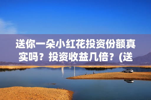 送你一朵小红花投资份额真实吗？投资收益几倍？(送你一朵小红花电影免费观看)