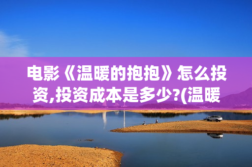电影《温暖的抱抱》怎么投资,投资成本是多少?(温暖的抱 720p)
