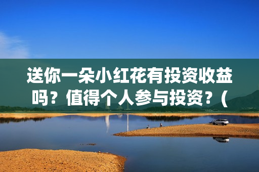送你一朵小红花有投资收益吗？值得个人参与投资？(送你一朵小红花歌词)