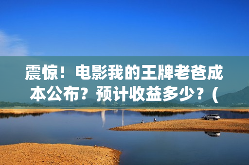 震惊！电影我的王牌老爸成本公布？预计收益多少？(我的震撼)