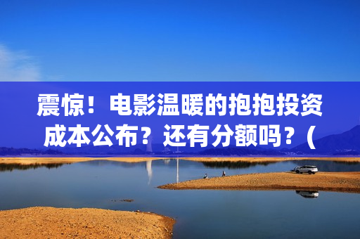 震惊！电影温暖的抱抱投资成本公布？还有分额吗？(温暖电影排行榜前十名)