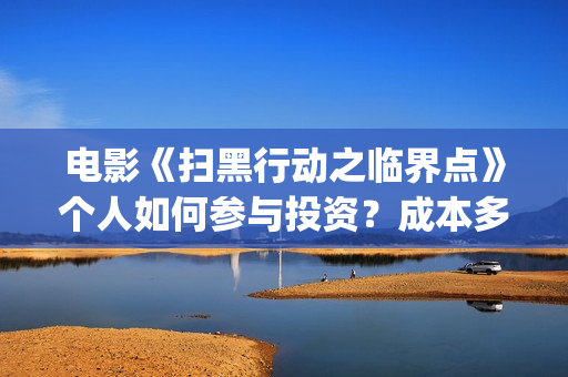电影《扫黑行动之临界点》个人如何参与投资？成本多少？还有份额吗？(电影扫黑行动免费观看完整版)